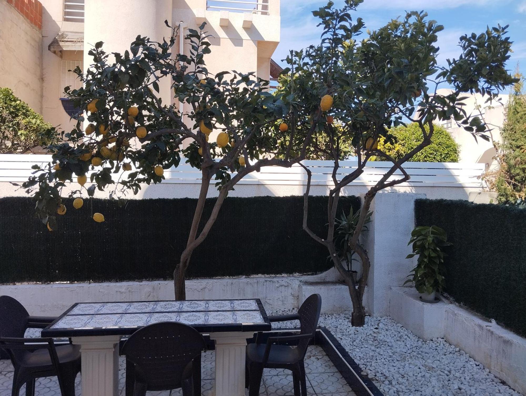 Z&R - Alcyone Villa Torrevieja Dış mekan fotoğraf